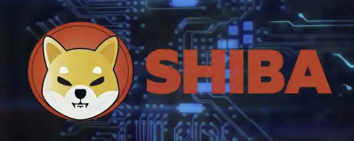 Shiba Inu (SHIB) Outperforms Bears: Incredible 385% Increase in Whale Transactions