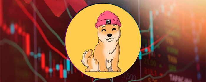 Incredible! Trader Loses More Than $5M in Minutes after Investing in Dogwifhat, a Solana Memecoin