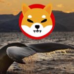 Shiba Inu Token Burn Skyrockets 200%, Whales Accumulate $1.38M Worth Of SHIB