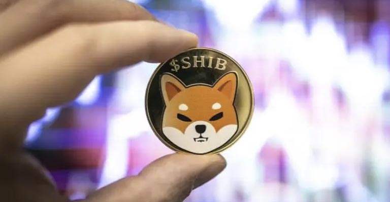 Shiba Inu launches privacy network to protect SHIB holders