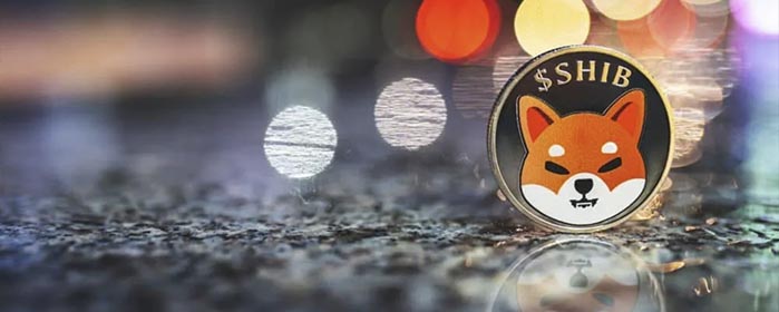 Shiba Inu Launches Privacy-Focused Network to Protect SHIB Token Holders