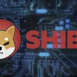 SHIBA Investors in Loss: Analysis Reveals Negative Trend