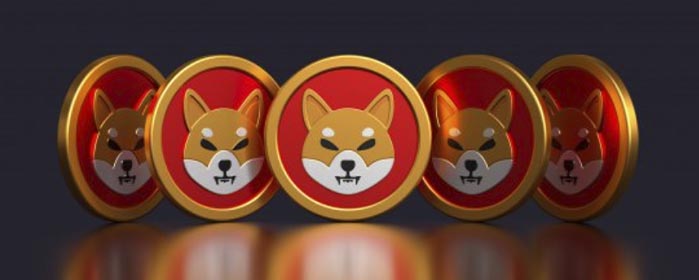SHIBA at Crossroads: Decline and Challenges for the 'Dogecoin Killer'
