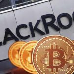 All-time record: BlackRock Bitcoin ETF attracts $788 million in one day