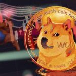 Dogecoin Influencer Reveals: Cryptocurrencies on Exchanges Are Not Secured