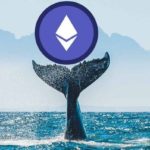 ethereum whale