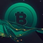 bitcoin whales