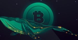 bitcoin whales