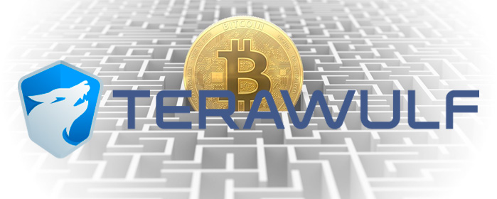 TeraWulf Sells 25% Stake in Bitcoin Mining Facility for $92 Million