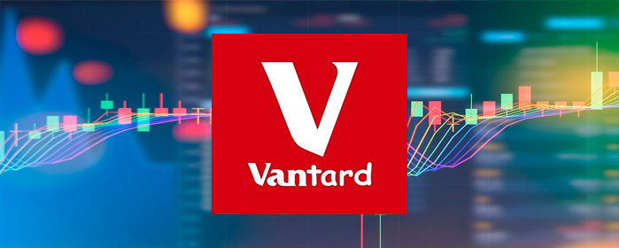 Vantard Shines Amid Crypto Market Downturn and Election Uncertainty