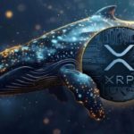 XRP Under the Radar of Whales: What's Happening?