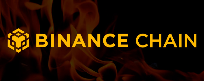 Milestone Achieved: BNB Foundation's 30th Quarterly Token Burn