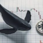 The Crypto Market Awaits Signs of Recovery as Whales Adjust Their Positions