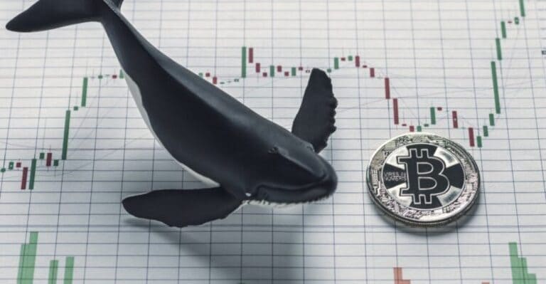 The Crypto Market Awaits Signs of Recovery as Whales Adjust Their Positions