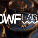 DWF Labs Launches $250 Million Fund to Drive Blockchain Adoption