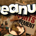 Peanut: The $2 Billion Memecoin Born from Grief