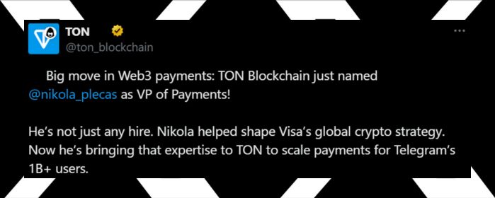 TON Foundation Appoints Former Visa Executive Nikola Plecas as VP of Payments