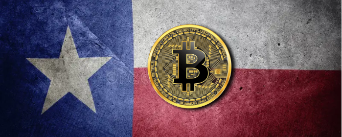 Texas Flag