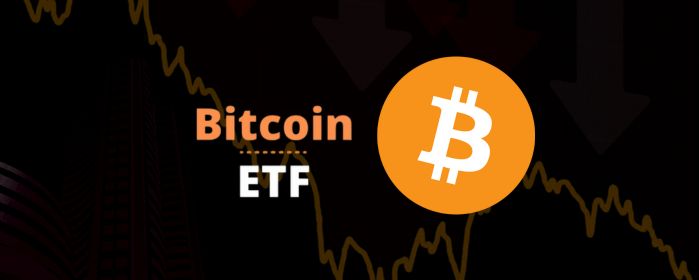 Bitcoin ETFs Plunge as Trump-Musk Dispute Sparks Market Fear