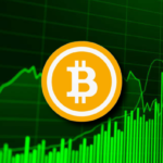 Bitcoin Emerges As Fiscal Safety Net