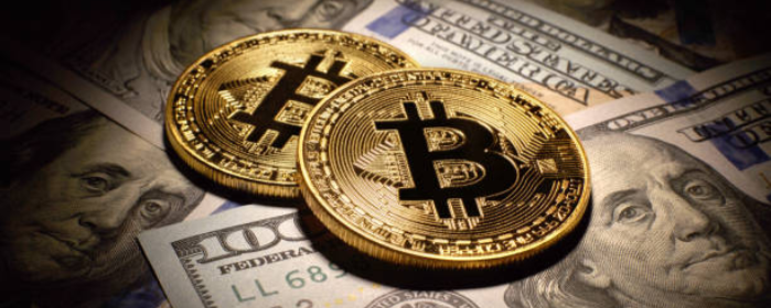 Bitcoin Market