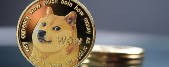 Image of DOGE