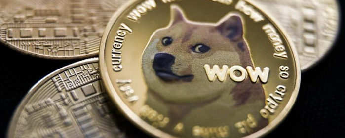 Image of DOGE