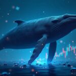 Giant whale over AVNT chart with on-chain data and visuals of the Base network, symbolizing institutional liquidity.