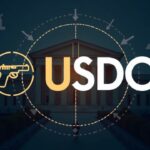 Image: USDC logo, silhouette of a firearm, courthouse and charts linked by blockchain, indicating regulatory pressure.