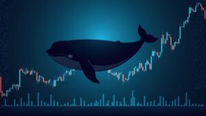 Whale over a declining XCN price chart with buy icons and fading retail wallets, blockchain nodes in the background.